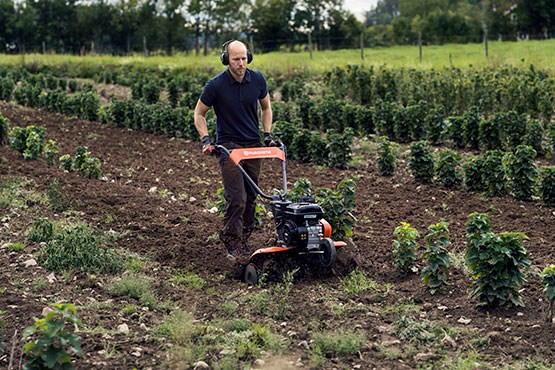 Agricultura